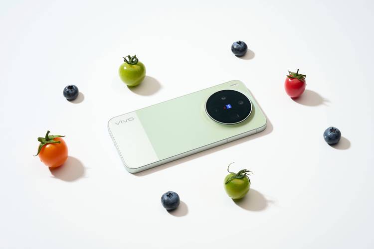 vivo X300S 16+512