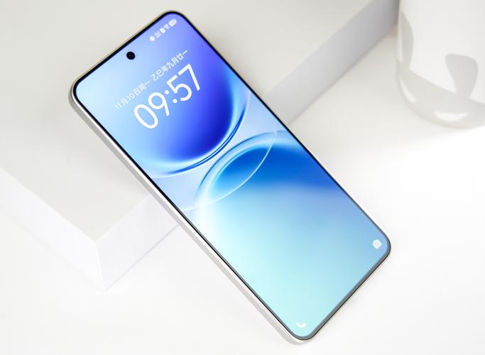 vivo Y500 Pro 12+256